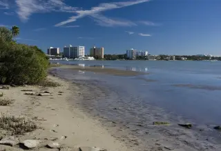 Clearwater Beach photo 4