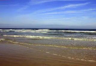 Daytona Beach photo 1