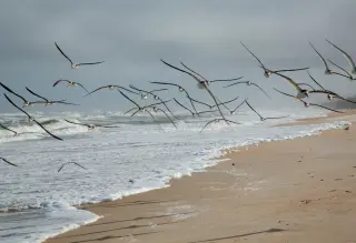 Daytona Beach photo 5