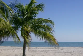 Hobie Island Beach Park in Key Biscayne, FL beach photo