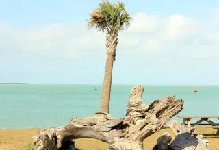 Key West Beaches photo 4