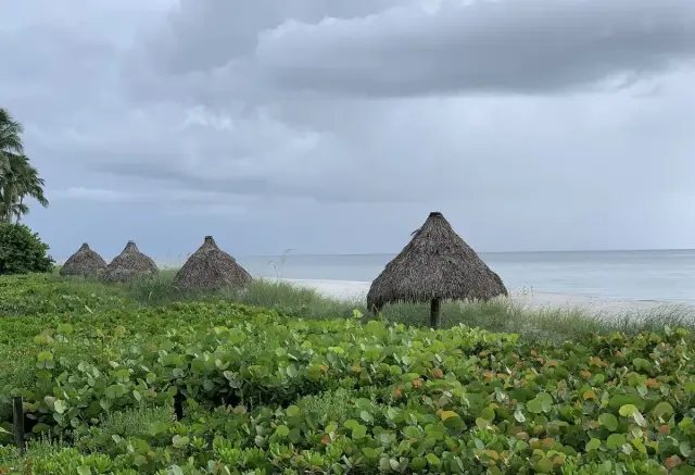 Tigertail Beach