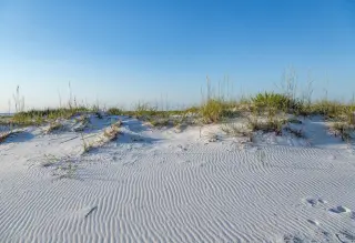 Pensacola Beach photo 2