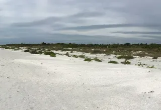 Blind Pass Beach in Captiva, FL beach photo