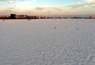 Siesta Key Beach photo 1