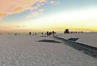Siesta Key Beach photo 3