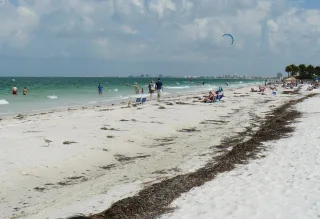 Bahama Beach in St. Pete Beach, FL beach photo