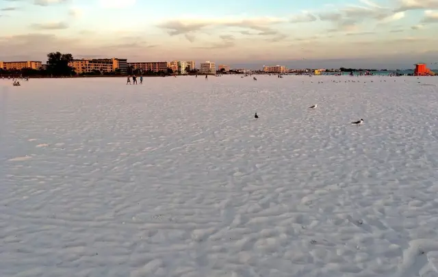 Siesta Key Beach