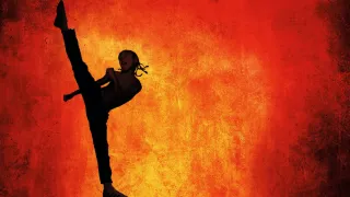 The Karate Kid movie photo 4