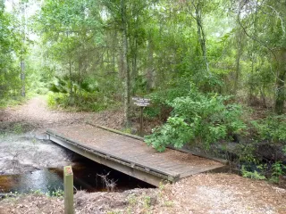 Brooker Creek County Preserve in Oldsmar, FL park photo