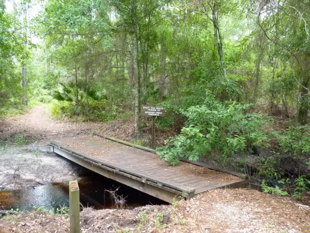 Brooker Creek County Preserve