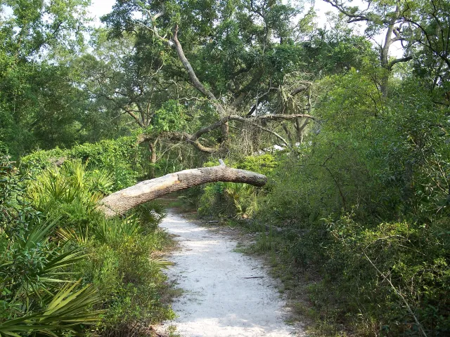 Silver Springs State Park (Main Entrance)