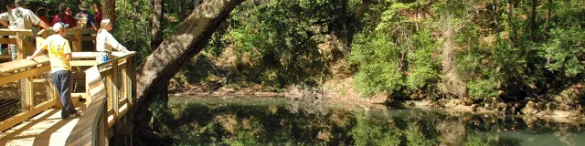 Leon Sinks Geological Area