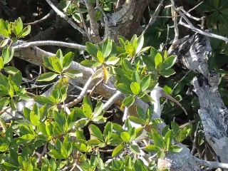 Gulf Coast Visitor Center photo 1