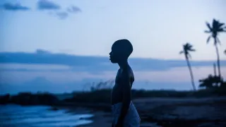 Moonlight movie photo 4