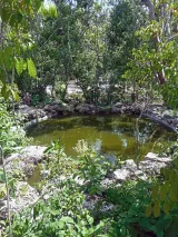 Simpson Park preview 2