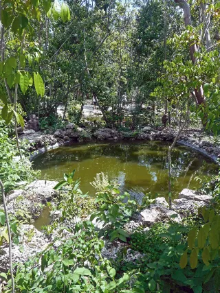 Simpson Park photo 3