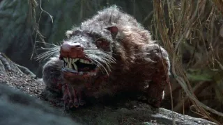 The Princess Bride movie photo 10