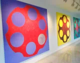 Frost Art Museum preview 3