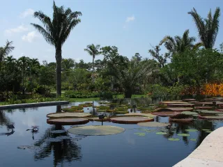 Naples Botanical Garden in Naples, FL attraction photo