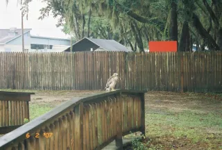 Florida Air Museum photo 1