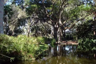 Bok Tower Gardens photo 1