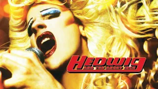 Hedwig and the Angry Inch movie photo 2