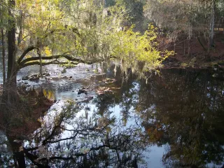 O'Leno State Park in Lake City, FL park photo