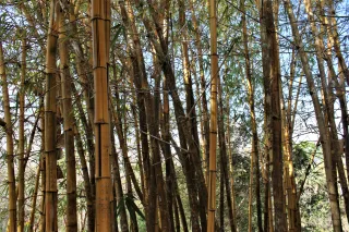 Florida Botanical Garden in Largo, FL park photo