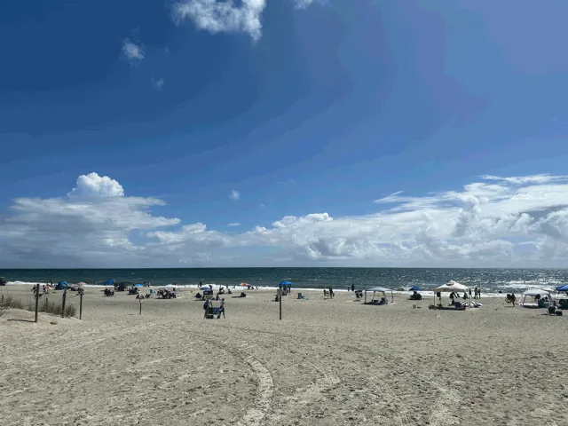 Mickler's Landing