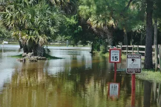 Lion Country Safari in Loxahatchee, FL attraction photo