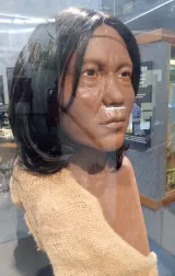 Brevard Museum of History & Natural Science preview 3