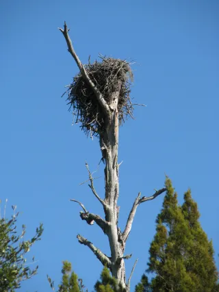 Tomoka State Park in Ormond Beach, FL park photo