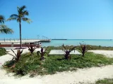 Higgs Beach preview 4