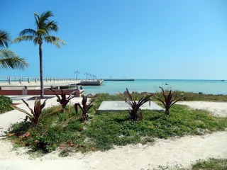 Higgs Beach photo 5