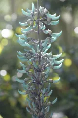 Naples Botanical Garden preview 1