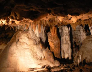 Florida Caverns State Park in Marianna, FL park photo