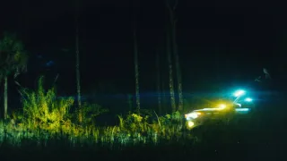 The Python Hunt movie photo 6