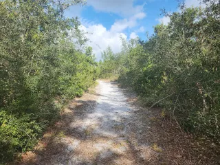Lyonia Preserve in Deltona, FL park photo