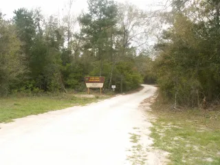 Plank Road Wildlife Management Area in Tallahassee, FL park photo