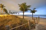 Dog Beach preview 1
