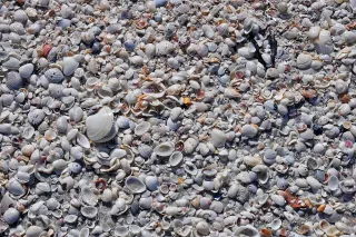 Blind Pass Beach