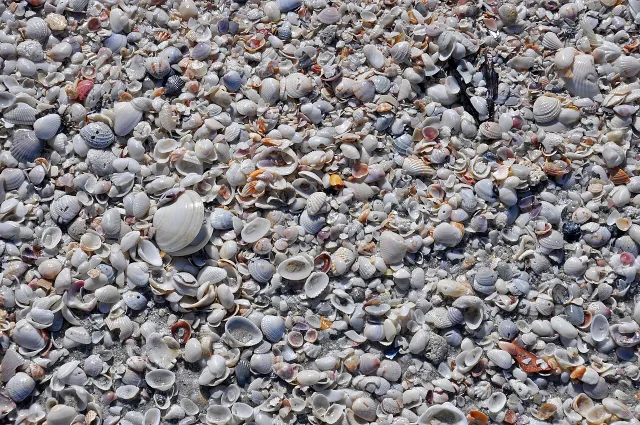 Blind Pass Beach