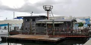 Clearwater Marine Aquarium photo 1