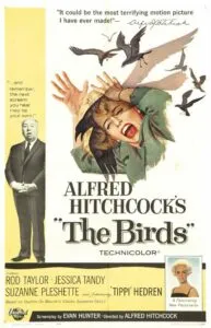 Movie poster for The Birds