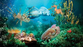 Under the Sea 3D movie photo 1