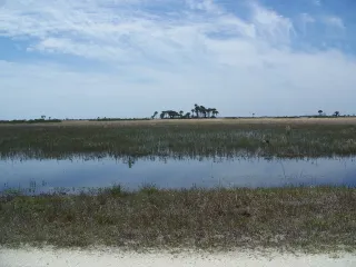 Kissimmee Prairie Preserve State Park in Sebring, FL park photo