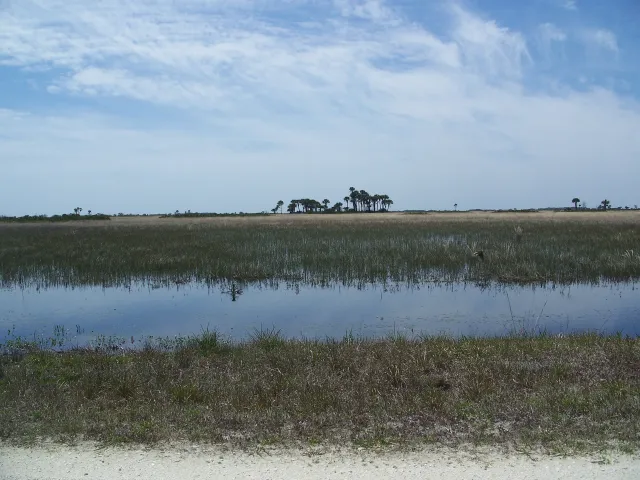 Kissimmee Prairie Preserve State Park