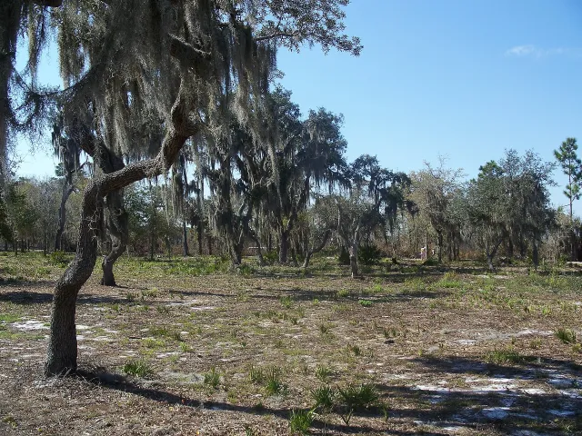 Lake Manatee State Park