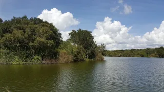 Saddle Creek Park in Lakeland, FL park photo